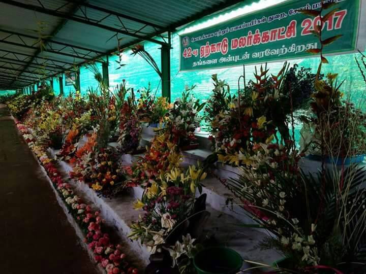 The 45th Yercaud Summer Festival will be held for 7 days from 26.05.2022 to 01.06.2022. சேலம் : மே 26 முதல் ஜூன் 1..  7 நாட்கள் நடைபெறவிருக்கும் 45-வது ஏற்காடு கோடை விழா