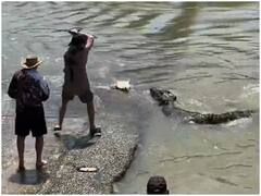 Watch: फिशिंग के दौरान शख्स ने किया खूंखार मगरमच्छ का सामना, दिमाग लगाकर बचाई मछली