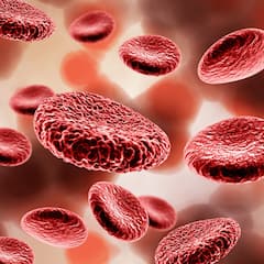 Bel Murabba Benefits : गर्मी से राहत दिलाए बेल का मुरब्बा, इन 6 समस्याओं से भी दिला सकता है राहत