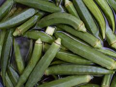 Okra Water Benefits : भिंडी ही नहीं इसका पानी भी है औषधीय गुणों से भरा, इन समस्याओं से तुरंत दिला सकता है छुटकारा