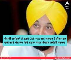 ਪੰਜਾਬੀ ਗਾਇਕਾਂ 'ਤੇ ਭੜਕੇ CM ਮਾਨ: ਗਨ ਕਲਚਰ ਤੇ ਗੈਂਗਸਟਰ ਵਾਲੇ ਗਾਣੇ ਬੰਦ ਕਰ ਦਿਓ ਵਰਨਾ ਸਖਤ ਐਕਸ਼ਨ ਲਵੇਗੀ ਸਰਕਾਰ
