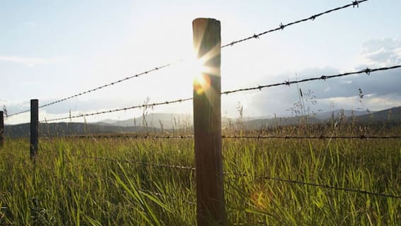 ਅੰਮ੍ਰਿਤਸਰ : ਕੇਂਦਰੀ ਅਧਿਕਾਰੀ ਦੇ ਦੌਰੇ ਨਾਲ ਸਰਹੱਦੀ ਪੱਟੀ ਦੇ ਕਿਸਾਨਾਂ ਵਿਚ ਜਾਗੀ 2017 ਤੋਂ ਬੰਦ ਪਏ ਮੁਆਵਜ਼ੇ ਦੀ ਆਸ