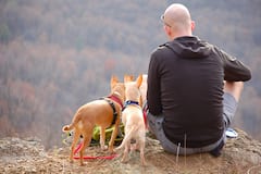 Harassment at Workplace: কর্মস্থলে টাক নিয়ে কটাক্ষ যৌন হেনস্থার সামিল, রায় ইংল্যান্ডের ট্রাইব্যুনালের