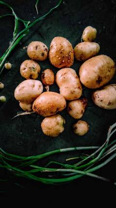 Vitamin C Benefits : 'व्हिटॅमिन सी' मध्ये आहे प्रतिकारशक्ती वाढविण्याची क्षमता, फिट राहण्यासाठी 'या' फळभाज्या खा