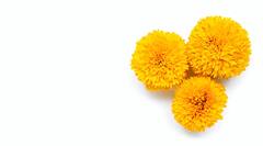 Marigold flower for Hair : बेजान बालों पर लगाएं गेंदे का फूल, इन परेशानियों में तुरंत मिलेगा छुटकारा