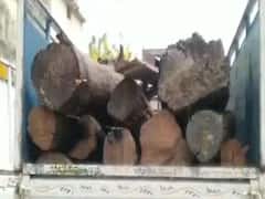 Uttarakhand: खटीमा में वन विभाग को मिली कामयाबी, 3 लकड़ी तस्करों किया गया गिरफ्तार 