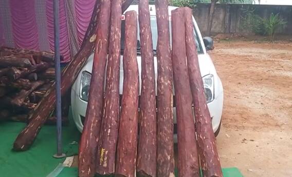 Red Sandal Smugglers Arrest: పోలీసులనే బురిడి కొట్టిద్దామనుకున్నారు! | Chittoor | ABP Desam