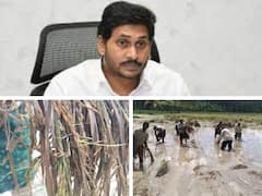 Farmers On Jagan: ప్రభుత్వ తీసుకున్న ఆ నిర్ణయంపై కోస్తా రైతులు హర్షం- త్వరగా అమలు చేయాలంటూ విజ్ఞప్తి