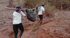 पालघर जिल्ह्यात पुन्हा माता मृत्यूची चिंता, गेल्या सात वर्षातील सर्वाधिक नोंद, मागील वर्षी 20 मातांचा मृत्यू