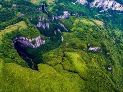 फोटो पाहून चक्रावून जाल; या डोंगरच्या रांगा नाही तर दरी आहेत; मिळाले लाखो वर्षे जुने जंगल