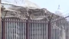 Gyanvapi Masjid Survey : तहखाने से बाहर आएगा ज्ञानवापी का सच? Hindi News