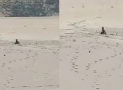 Uttarakhand News: देहरादून के टिहरी झील के रेतीले दलदल में फंसा ग्रामीण, सीएमओ से हेलीकॉप्टर से रेस्क्यू कराने की मांग