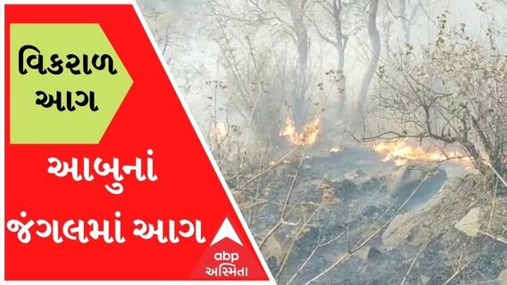 માઉન્ટ આબુના જંગલમાં મોડી રાતે ફાટી નીકળી વિકરાળ આગ, અનેક પક્ષીઓના મોતની આશંકા