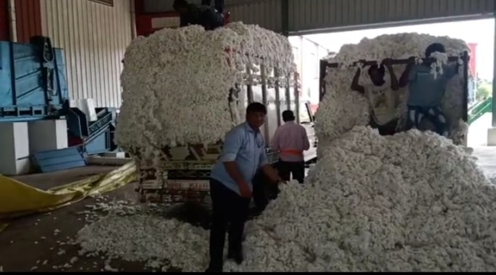 Cotton Price News : पांढऱ्या सोन्याला झळाळी, सेलू उपबाजारपेठेत मिळाला विक्रमी दर, शेतकऱ्यांमध्ये आनंदाचे वातावरण