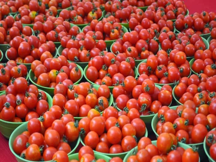 AP Telangana Karnataka Tomato prices skyrocket recent rains weather conditions tomato yield decreased Tomato Prices : సామాన్యుడి వంటింటికి టమాటా దూరం, మార్కెట్లో మండిపోతున్న ధరలు