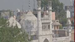 Gyanvapi Survey: पहले दिन 4 कमरों का हुआ सर्वे, कमीशन को तहखाने से क्या-क्या मिला?