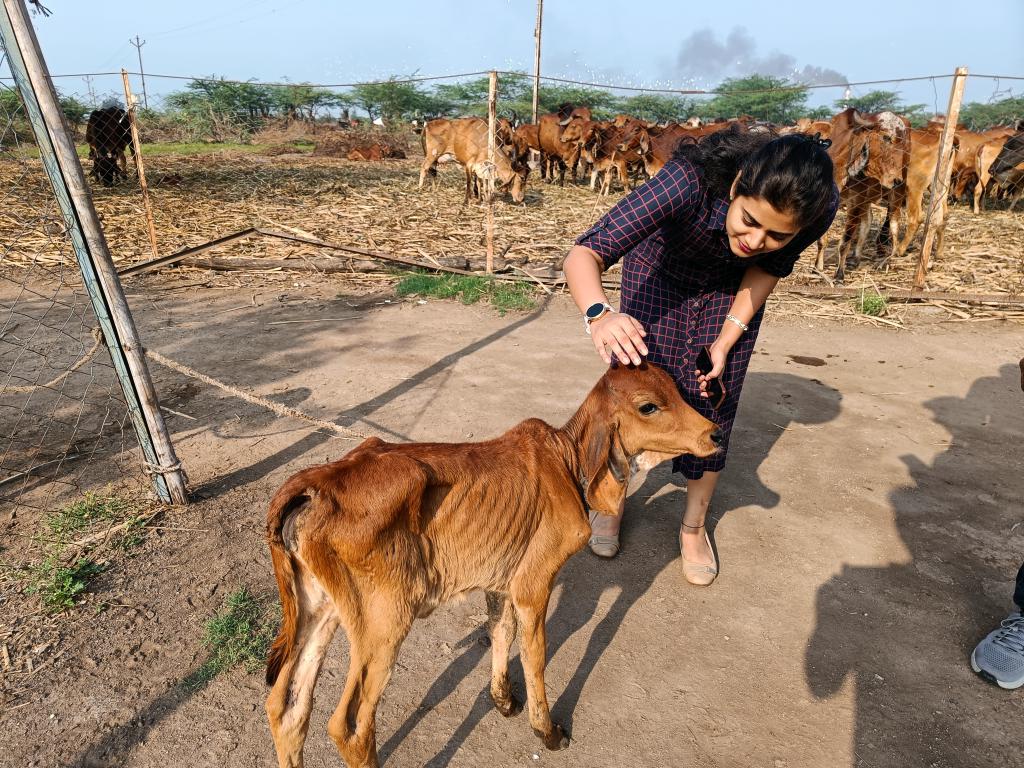 Humpy Farms : निर्माणमुळे मिळाली ऊर्जा, सेंद्रीय शेतीत काम करणाऱ्या 'हंपी फार्म'ला 5 कोटीचे फंडिंग