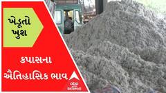ખેડૂતો ખુશઃ એક મણ કપાસના ખેડૂતોને ઐતિહાસિક ભાવ મળતાં ખુશીની લાગણી, જુઓ વીડિયો