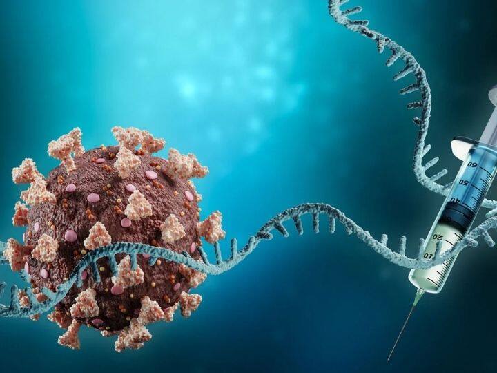mRNA Vaccine CCMB develops India first mRNA vaccine technology marathi news mRNA Vaccine : CCMB ने भारतातील प्रथम mRNA लस तंत्रज्ञान केले विकसित; काय आहे याची खासियत?