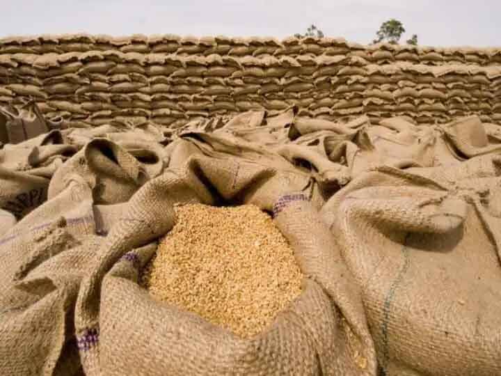 India bans wheat exports; The G-7 countries said that if everyone did that ... Wheat Export Ban: भारताची गहू निर्यातीवर बंदी; G-7 देश म्हणाले, प्रत्येकाने असे केले तर...