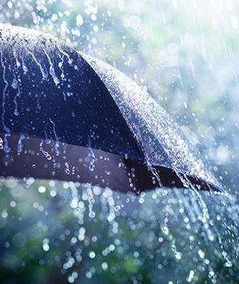 केरळमध्ये मान्सून हा साधारणपणे 31 मे रोजी दाखल होतो, मात्र यावर्षी लवकर येणार