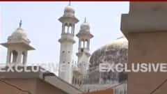 Gyanvapi Masjid Survey: हिंदू पक्षकार ने कहा-अंदर हमारी सोच से ज्यादा बहुत कुछ । Hindi News