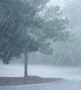 देशात सरासरीच्या 99 टक्के पाऊस होणार असल्यानं ही शेतकऱ्यांसाठी एक दिलासा देणारी बातमी