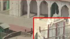 Gyanvapi Masjid Survey: कमरे में जहरीले जीव-जंतु मिलने से कई बार रुका सर्वे का काम