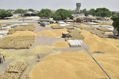 Centre Extends Wheat Procurement Process In Six States Till May 31