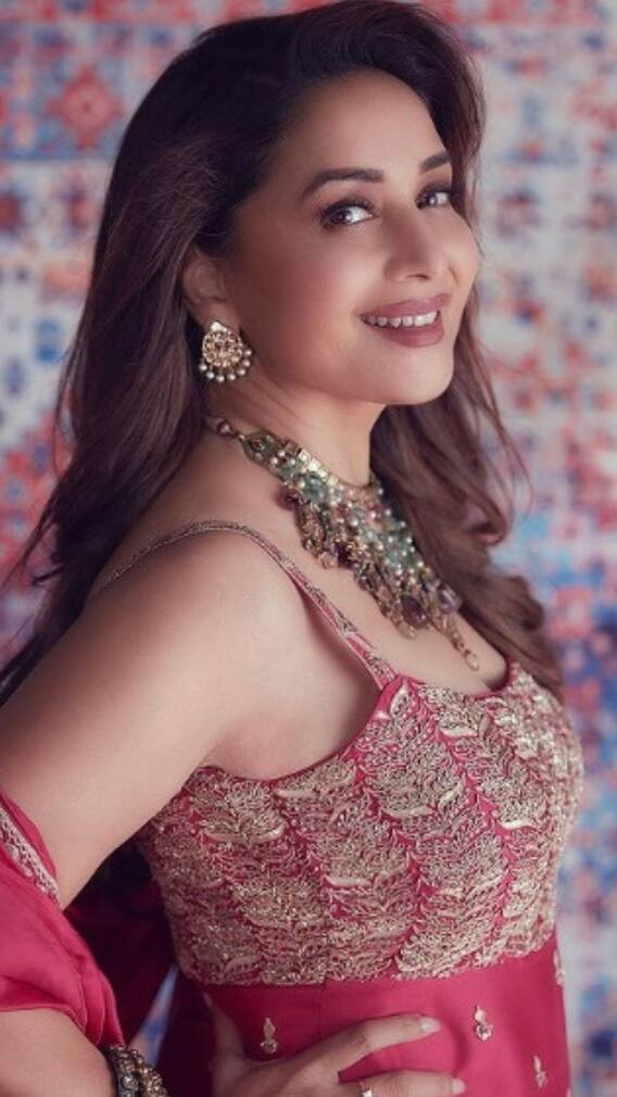 মাধুরী দীক্ষিতের সেরা ছবির তালিকা