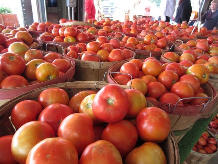 Chhattisgarh: बस्तर में सबसे महंगे बिक रहा टमाटर, इस वजह से आसमान छू रहे दाम Chhattisgarh News Tomato became the most expensive in Bastar know the price ann Chhattisgarh: बस्तर में सबसे महंगे बिक रहा टमाटर, इस वजह से आसमान छू रहे दाम