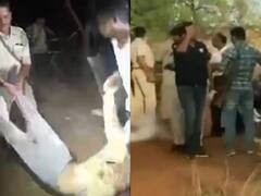 Guna Encounter: एनकाउंटर में मारा गया 3 पुलिसकर्मियों की हत्या करने वाला दूसरा आरोपी शहजाद खान, जानें- पूरा मामला