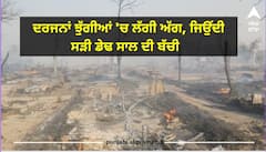 ਵੱਡੀ ਖਬਰ! ਡੇਰਾਬੱਸੀ 'ਚ ਦਰਜਨਾਂ ਝੁੱਗੀਆਂ 'ਚ ਲੱਗੀ ਅੱਗ, ਜਿਉਂਦੀ ਸੜੀ ਡੇਢ ਸਾਲ ਦੀ ਬੱਚੀ