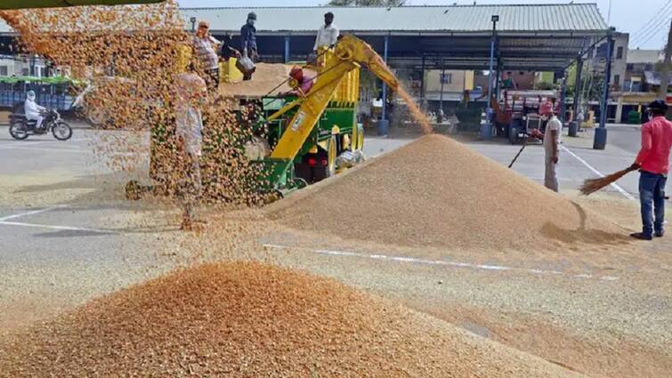 Farmers angry over central government's ban on wheat exports,  Letter written to PM Modi by Farmers SURAT : ઘઉં નિકાસ પર કેન્દ્ર સરકારના પ્રતિબંધથી ખેડૂત સમાજ નારાજ, પીએમ મોદીને લખ્યો પત્ર