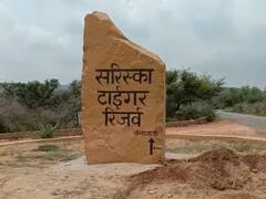 Rajasthan News: एलिवेटेड रोड से बढ़ेगी सरिस्का की रौनक, सीएम अशोक गहलोत ने विकास के लिए मांगे अधिकारियों से सुझाव