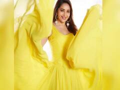 Photo : तब्बल 14 वेळा ‘फिल्मफेअर' नामांकन मिळवणारी बॉलिवूडची ‘धकधक गर्ल’, जाणून घ्या माधुरी दीक्षितबद्दल...