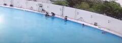 Boy Loses His Life During Swimming: హైదరాబాద్ నాగోల్ లో ప్రమాదవశాత్తూ బాలుడి మృతి | ABP Desam