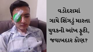 VADODARA : ગાયે શિંગડું માર્યું હતું એ યુવકની આંખ ફૂટી, પિતાએ નોંધાવી પોલીસ ફરિયાદ