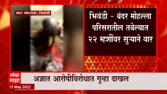 Mumbai : तब्बल 22 म्हशींवर सूऱ्याने सपासप वार, 7 म्हशींचा मृत्यू, भिवंडीतील धक्कादायक प्रकार