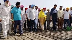 ਮੁੱਖ ਮੰਤਰੀ ਭਗਵੰਤ ਮਾਨ ਦੇ ਪਿੰਡ ਤੋਂ ਹੋਈ ਝੋਨੇ ਦੀ ਸਿੱਧੀ ਬਿਜਾਈ ਦੀ ਸ਼ੁਰੂਆਤ