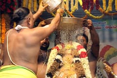 In Pics: తిరుచానూరు శ్రీ పద్మావతి అమ్మవారి వసంతోత్సవాలు, చూసి తరించండి