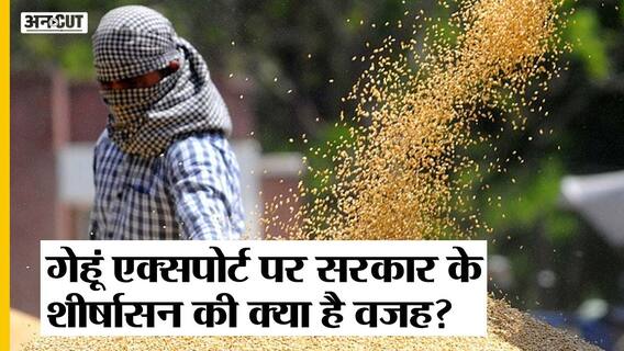 Wheat Export Ban करने से World में India की छवि पर क्या असर पड़ेगा| why India banned wheat export
