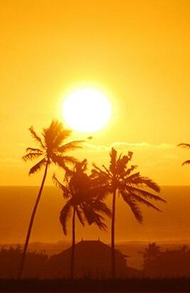 पाकिस्तानमध्ये  जगातील सर्वोच्च तापमानाची नोंद