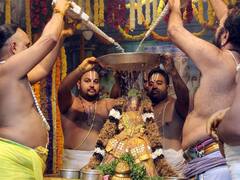 In Pics: తిరుచానూరు శ్రీ పద్మావతి అమ్మవారి వసంతోత్సవాలు, చూసి తరించండి