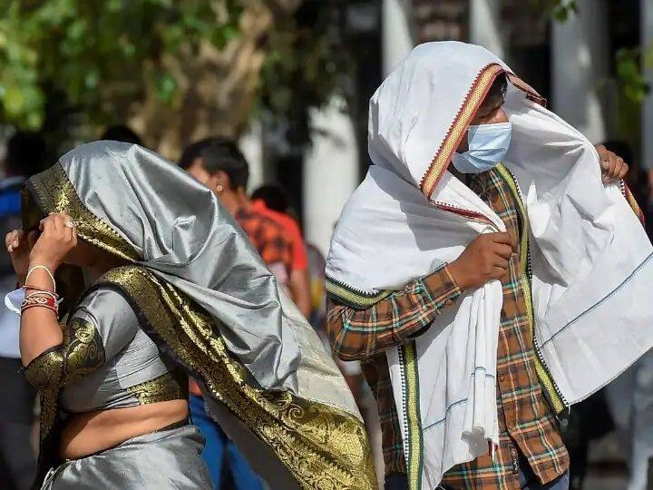 delhi weather update heat is troubling  in delhi  temperature cross 49 degrees  Heatwave : दिल्लीत विक्रमी तापमानाची नोंद, पारा 49 अंशांच्या पुढे, महाराष्ट्रातही उष्णतेच्या झळा 