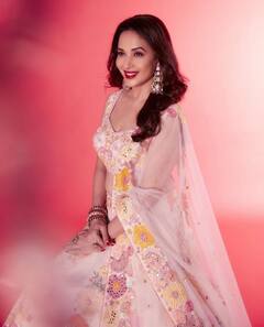 Madhuri Dixit Birthday: 'তেজাব', 'বেটা', 'দিল' কিংবা 'পুকার', একনজরে মাধুরী দীক্ষিতের সেরা ছবির তালিকা