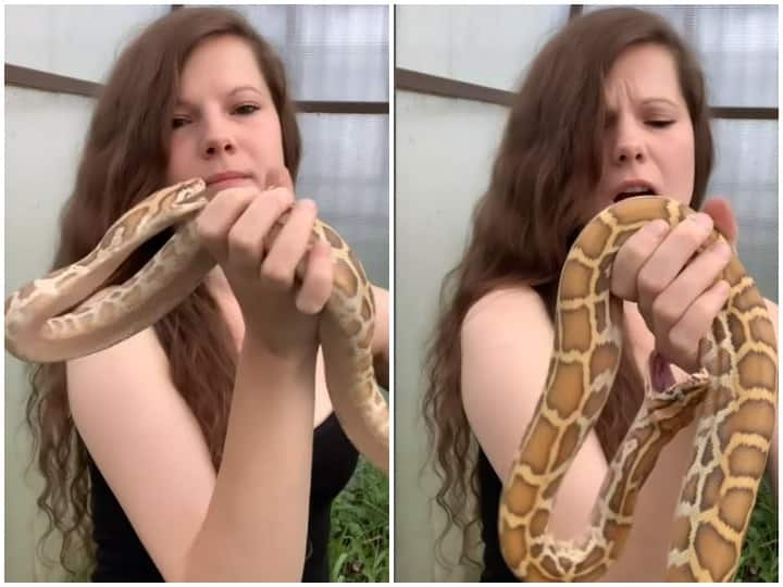 Snake tried to bite the girl playing with dreaded snake Watch: खूंखार सांप के साथ मस्ती करना लड़की को पड़ा भारी, रोंगटे खड़े कर देगा वीडियो