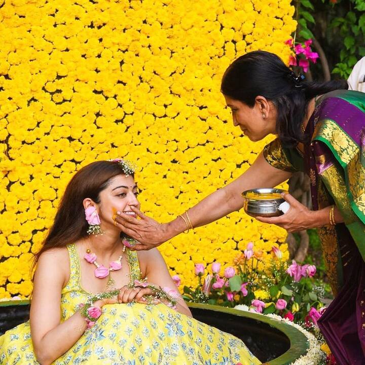 கன்னட, தெலுங்கு, தமிழ் படங்களில் பிசியாக நடித்து வந்தார்