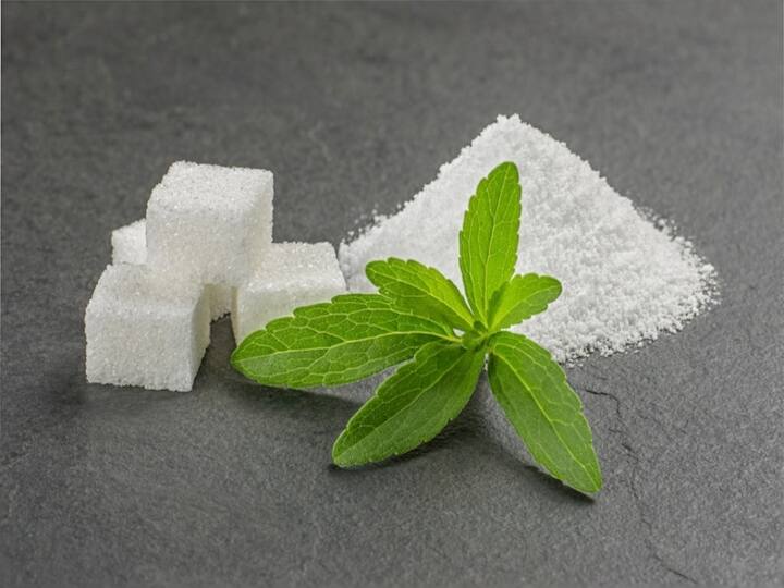Benefits of Consuming Stevia Over Table Sugar Stevia Sugar : கரும்பு சர்க்கரைக்கு மாற்றாக சீனித்துளசி.. என்னென்ன நன்மைகள் இருக்குன்னு தெரியுமா?