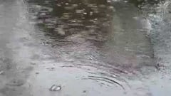 Monsoon: সময়ের আগেই আন্দামান সাগরে ঢুকল বর্ষা। সময়ের আগেই ২৭ মে কেরলে ঢুকছে বর্ষা। Bangla News